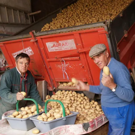 Le Majeste Prázdninový dům *