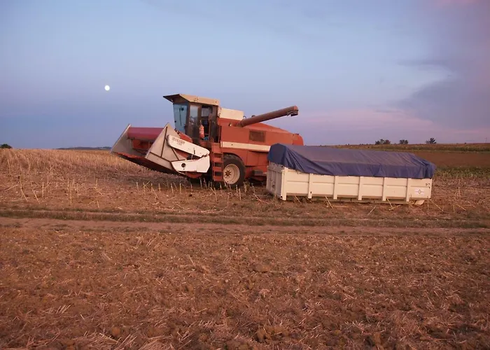 Le Majeste Nyaraló Juzes