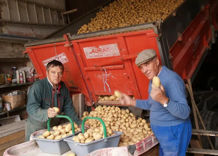 Le Majeste Nyaraló *