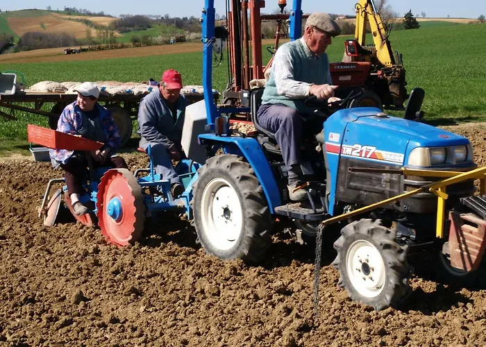 Nyaraló Le Majeste *